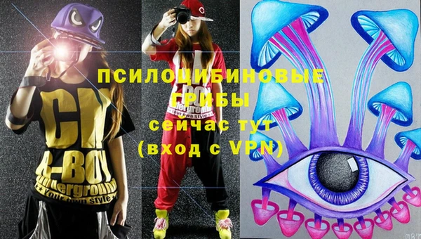 синтетический гашиш Касимов