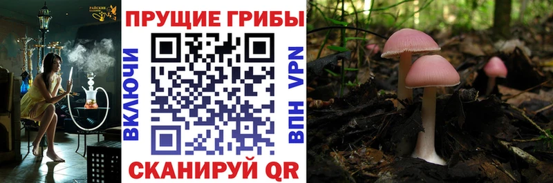 Галлюциногенные грибы MAGIC MUSHROOMS Протвино